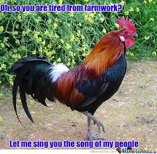 Image result for Animal Meme