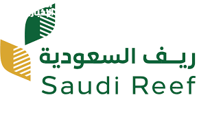 المساء الاخباري - News update