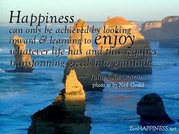 Enjoy whatever life has Quotes – Happiness can only be achieved by ... via Relatably.com