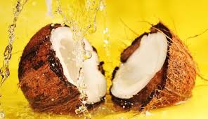 Image result for larutan kelapa