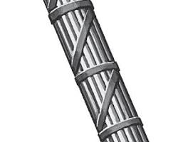 Image of Roman fasces symbol of authority