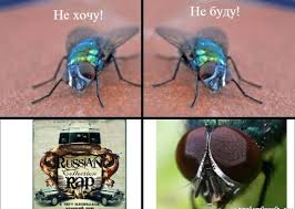 images?q=tbn:ANd9GcSZlMPZR3jKT5Z5yKpqe33zKRf--Ph1CjqDHmi1NiuH2aPUXniO