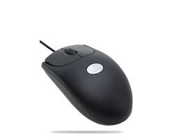 Mouse biasa