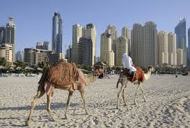Image result for dubai tourism places