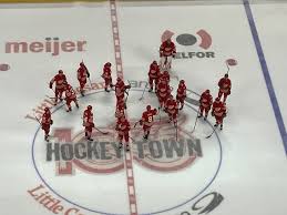 Red Wings express feelings after being booed following elimination
