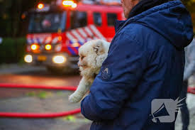 Hardnieuws - News update
