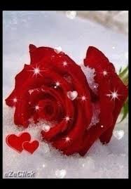  images?q=tbn:ANd9GcS