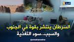 السرطان ينتشر بقوة في الجنوب