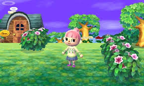 Resultado de imagen de animal crossing new leaf