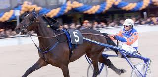 Trend Google: varenne cavallo