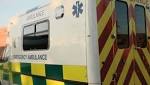 Eight dead south coast crash