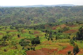 Image result for burundi