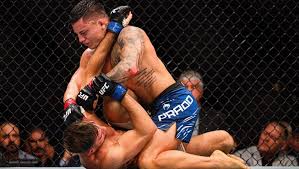 UFC 327: Prochazka vs. Ulberg - Odds, Picks, and Preview