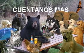 images