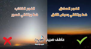 شبكة تواصل الإخبارية - News update