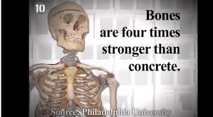 Image result for amazing facts about the human body