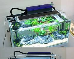 Hệ thống lọc treo cho hồ cá biển