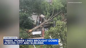 ABC7 Chicago - News update