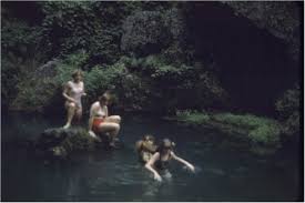 Bildergebnis für pulltite spring