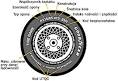 ETYKIETY na oponach: co oznaczaj symbole, jak czyta