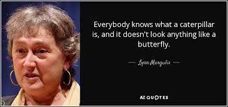 25 QUOTES BY LYNN MARGULIS [PAGE - 2] | A-Z Quotes via Relatably.com