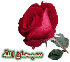 اذيه من الذهب Images?q=tbn:ANd9GcS_p-gdnl9Nbonc0hxYMzUyZXeJmoBtjMZMqEY4FlZ_usxxm3zU