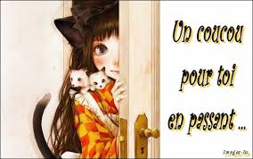 Résultat de recherche d'images pour "gifs gratuits bisous coucou oiseaux chats humour"