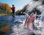 Basic Trout Fishing Tactics: Minnesota DNR