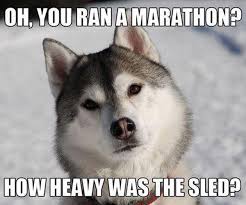 Image result for Animal Meme