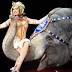 Melbourne bans exotic animals from circus shows