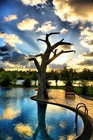 Image result for photo high dynamic range