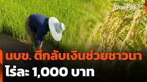 Thai PBS - News update