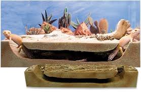 Resultado de imagem para leopard gecko terrarium ideas