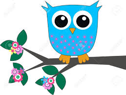 Image result for owl cartoon images