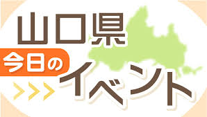 47NEWS - News update