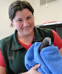 Dr Lisa Argilla: &quot;I&#39;m very passionate about parrots and I have three pet parrots of my own.&quot; - 7455925