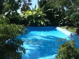 Image result for hemingway house