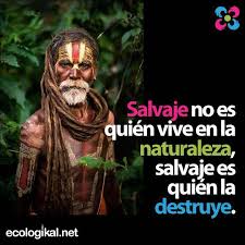 Resultado de imagen para frases de naturaleza cortas