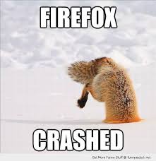 Image result for funny fox pictures