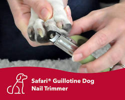 Guillotine type pet nail clipperの画像