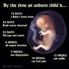 Mother To Unborn Son Quotes. QuotesGram via Relatably.com