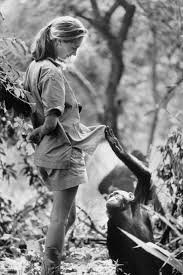 Jane Goodall’s Posthumous Message: Hope and a Spaceship for Unwanted Leaders