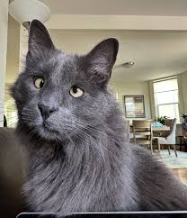 Hello 👋. Just popping in to say hi. Any work you have can wait