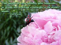 Butterfly Image Quotes And Sayings - Page 1 via Relatably.com