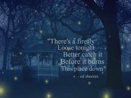 Luminous Quotes / Citations Lumineuses on Pinterest | Reading ... via Relatably.com