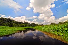 Image result for RAWA DANO