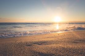 Image result for beach