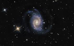 Image result for ngc 1566