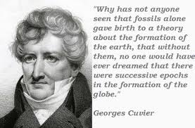 Top 10 popular quotes by georges cuvier images German via Relatably.com