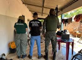 Operação contra tráfico de fauna apreende 25 aves silvestres em MT